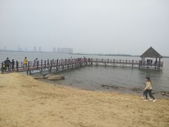 -瑶湖郊野森林公园