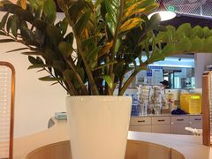 -小田油焖小龙虾(双井店)