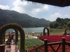 -广州市石门国家森林公园