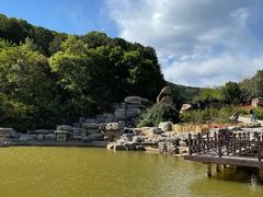 -北京西山国家森林公园