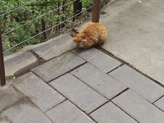-北京上方山国家森林公园