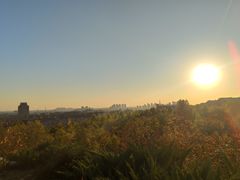 -府君山公园