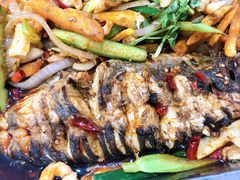 -大湾金牌万州烤鱼(沙河店)