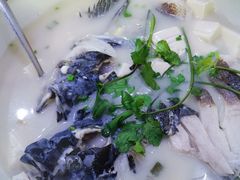 -全乐鱼馆·淳牌有机鱼直营店