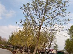 -延庆地质公园博物馆