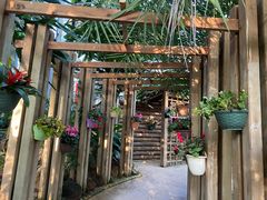 -南山植物园