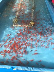 -萌宠亲子动物乐园(槐房万达店)