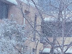 -北京市陈经纶中学