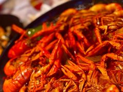 -红盔甲·小龙虾(天钥桥店)