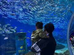 -海合安武汉极地海洋公园