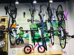 -GIANT捷安特自行车专卖店(金桥台儿庄路店)