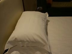 -苏州西交利物浦大学国际会议中心