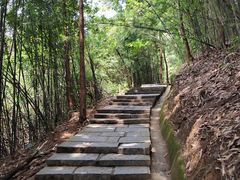 -大屏嶂森林公园