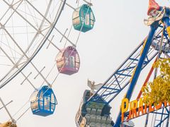 -洋湖国家湿地公园