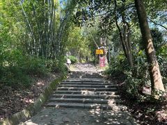 -东莞市大岭山森林公园