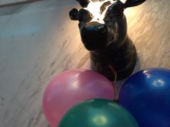 -天香KTV(五四大街店)