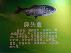 -老刘生态大鱼坊铁锅炖鱼(赛马场店)