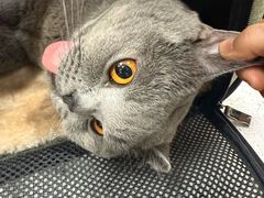 -芭比堂动物医院·CT·微创中心(新顺分院)