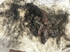 -御面斋精品面馆