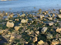 -青岛石老人海水浴场
