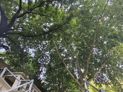 -西安市纺织公园