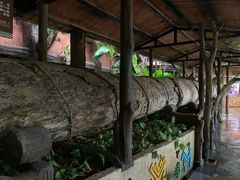 -海南槟榔谷黎苗文化旅游区