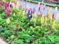 -杭州师范大学仓前新校区-体育场