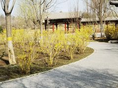 -张家湾公园