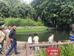 -成都市活水公园