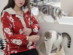 -怪兽屋·羊驼·猫咖·狗咖(俊华广场店)