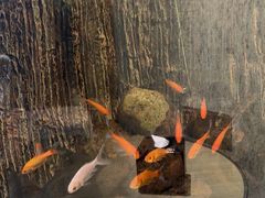 -圣爵菲斯大酒店(长沙世界之窗店)