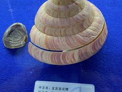 -贝壳王国博物馆