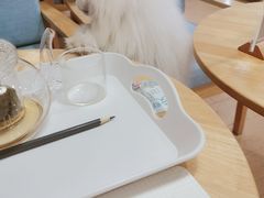 -猫的天空之城概念书店(苏州平江店)