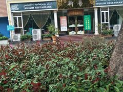 金牌烤羊排-新粤新疆菜清真餐厅(拱北店)