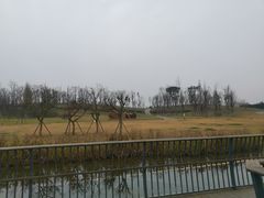 -白鹭湾湿地公园