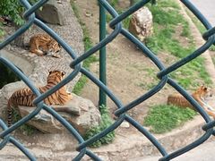 -栾川竹海野生动物园