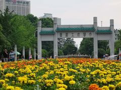 -武汉大学-樱园