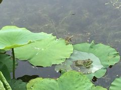 iphone_upload_pic-横山寺