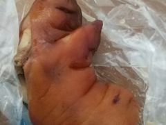 猪蹄-济南孟家扒蹄店