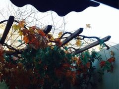 iphone_upload_pic-北京拉斐特城堡酒店