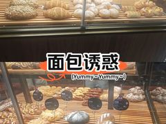 -多乐之日(公益西桥店)