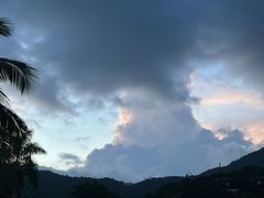 -呀诺达热带雨林