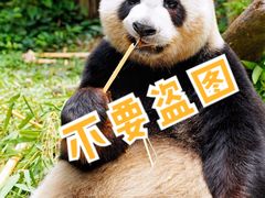 -广州长隆野生动物世界