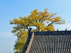 -金堂县云顶石城风景区