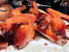 -大鸽饭(动物园店)