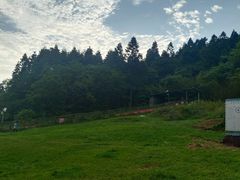 -武陵山森林公园