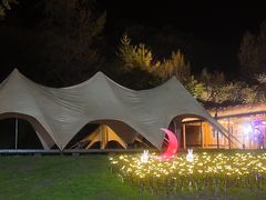 -千年银杏谷文化旅游区