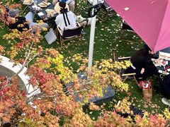 -J Create城市露营咖啡·简餐·宠物(上海动物园店)