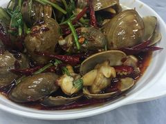 黃蜆子-小海丁