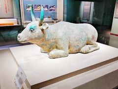 -宁夏博物馆